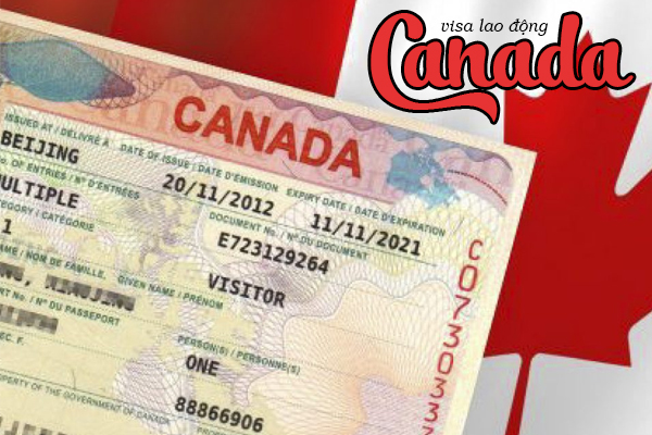 visa lao động canada, visa canada diện lao động, xin visa đi canada lao động, visa làm việc tại canada, thủ tục xin visa lao động tại canada