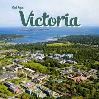 đại học victoria canada, đại học victoria, học phí đại học victoria canada, trường đại học victoria canada, các ngành học của đại học victoria canada