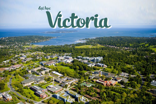 đại học victoria canada, đại học victoria, học phí đại học victoria canada, trường đại học victoria canada, các ngành học của đại học victoria canada