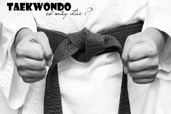 taekwondo, đai taekwondo, các đai của taekwondo, các đai của võ taekwondo, taekwondo có mấy đai, võ taekwondo có mấy đai, teakwondo, môn võ taekwondo, teawondo, teakondo, võ hàn quốc, võ taekwondo, các đai trong võ taekwondo, taewondo, võ taekwondo là gì, các đai taekwondo, tae kwon do, hệ thống đai taekwondo, đai của taekwondo, taekwondo hàn quốc, taekwondo đai gì cao nhất